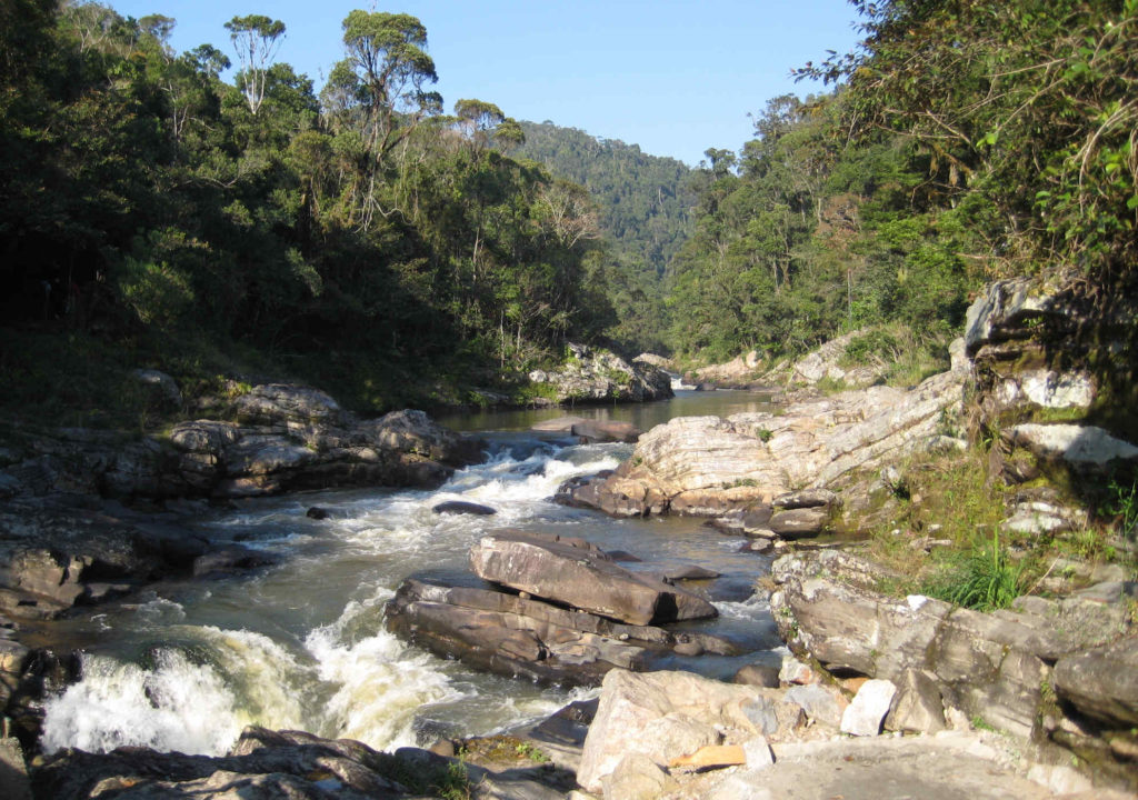 Le parc national de Ranomafana