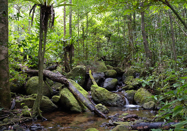 Le parc national de Masoala