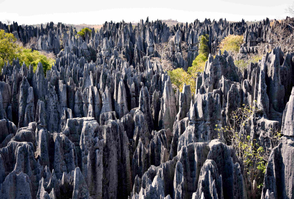 Les Tsingy du Bemaraha